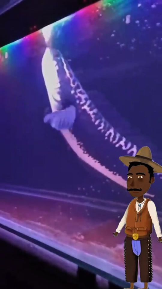 TikTok video thumbnail by dr_pulih