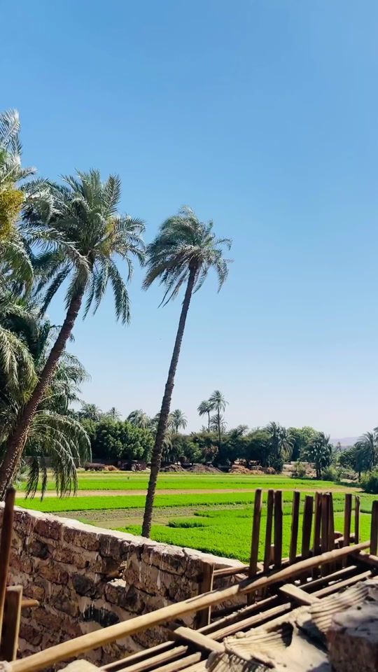 TikTok video thumbnail by amr_omar_75