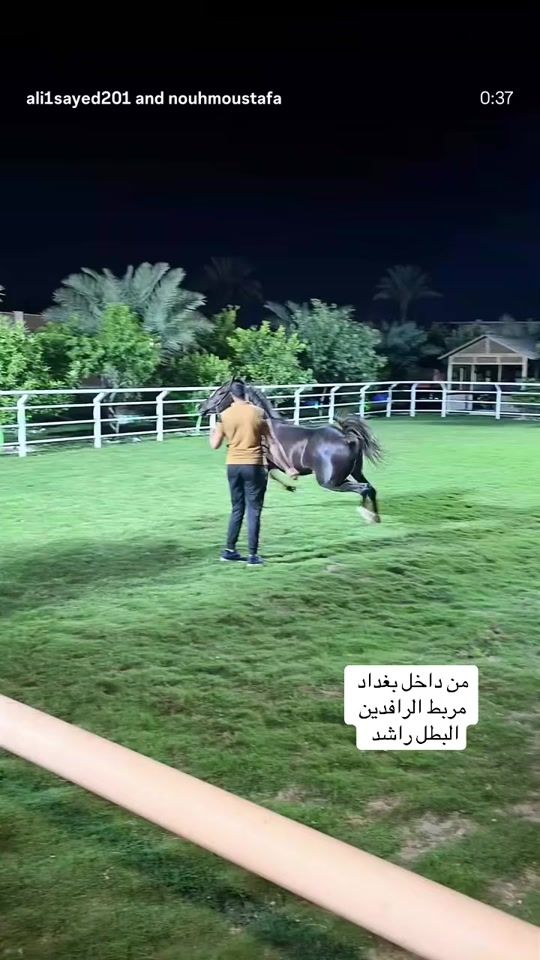 TikTok video thumbnail by du.x20