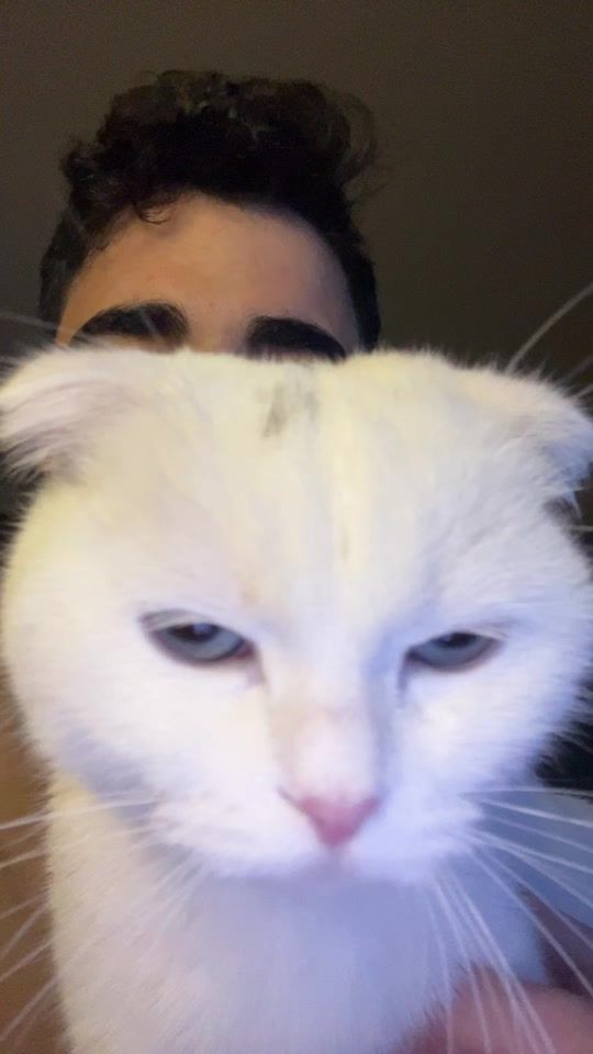TikTok video thumbnail by xburak.t