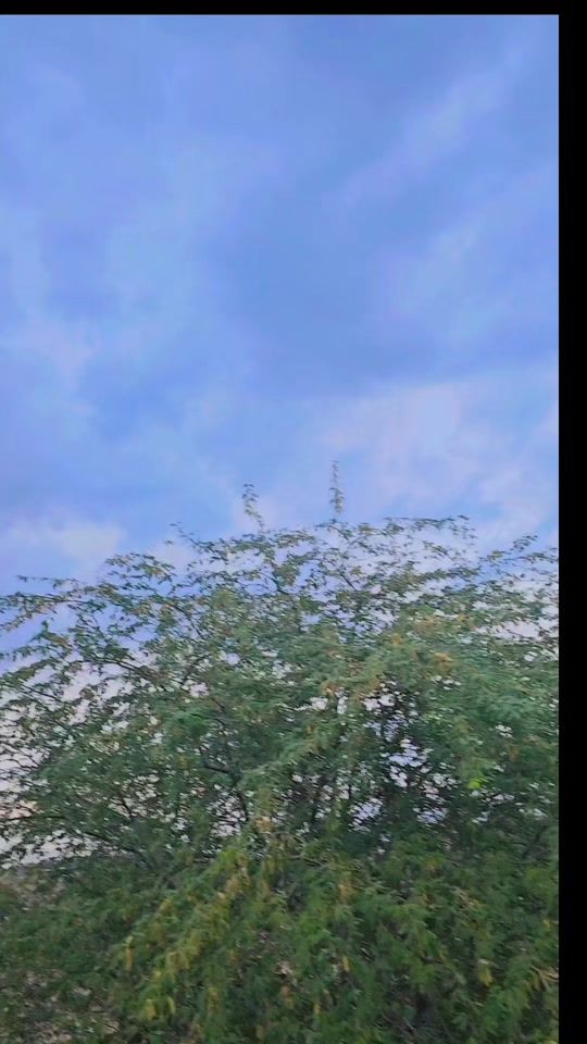 TikTok video thumbnail by sarkar8685