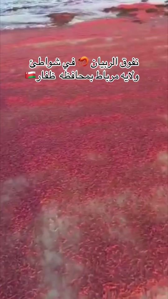TikTok video thumbnail by b.xc5