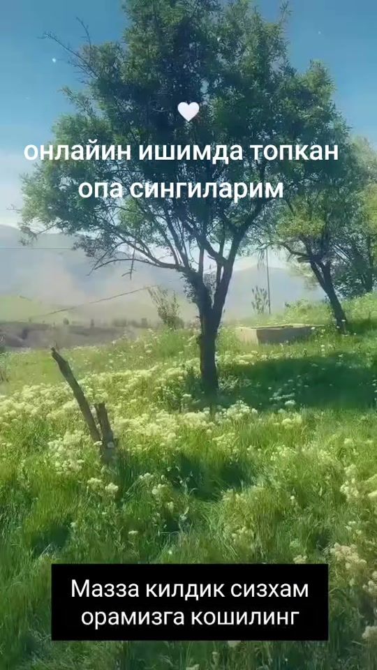 TikTok video thumbnail by marjina_bronza