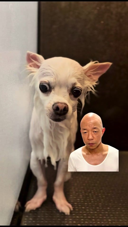 TikTok video thumbnail by 550cocomaru