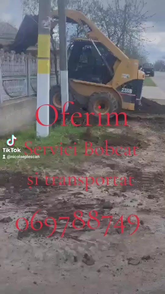 TikTok video thumbnail by nicolaeplescan