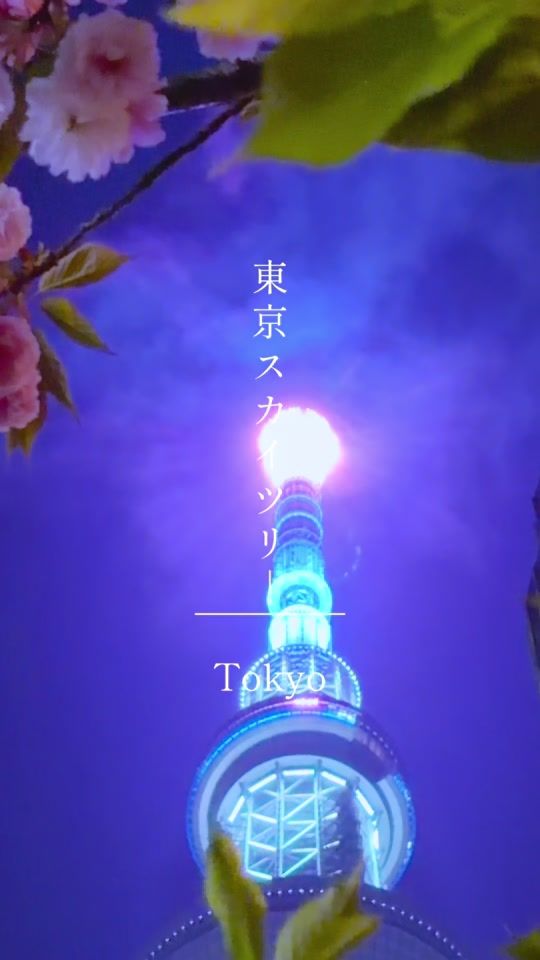 TikTok video thumbnail by happy.stroll