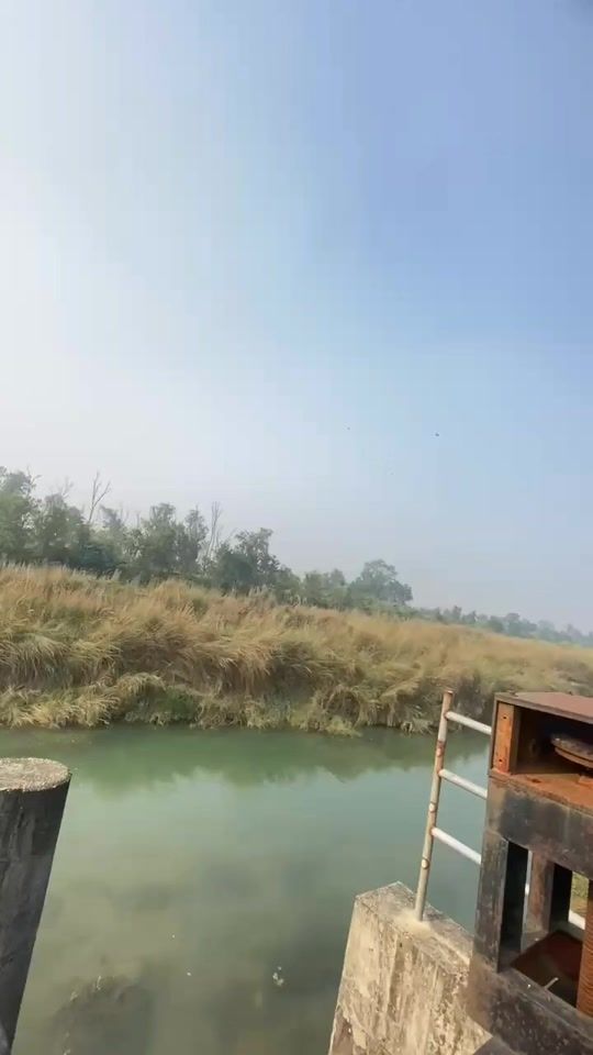 TikTok video thumbnail by suman.ray53