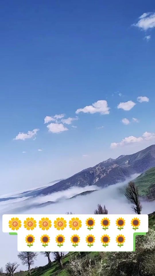 TikTok video thumbnail by daglar_oglu_o65_tural