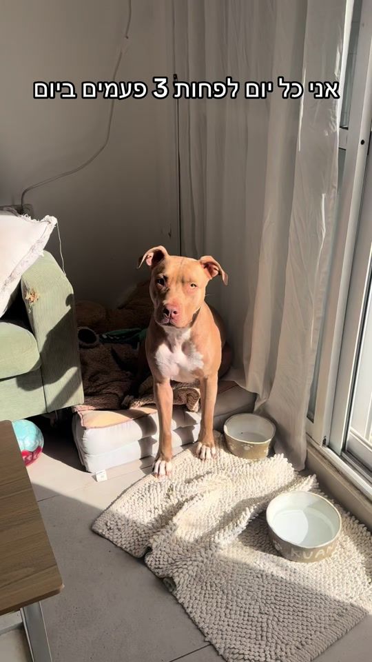 TikTok video thumbnail by kuan_the_pit