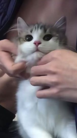 TikTok video thumbnail by ssleeeppzz