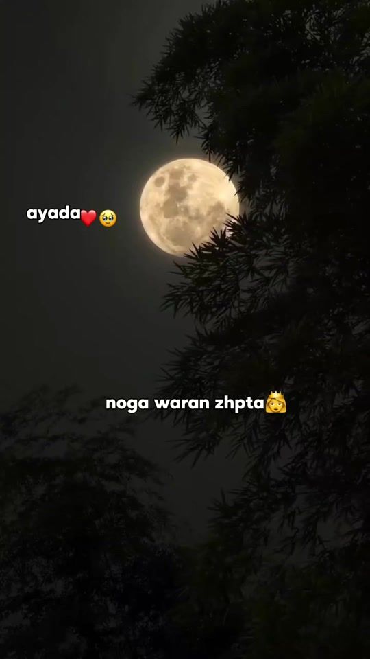 TikTok video thumbnail by __shiine1