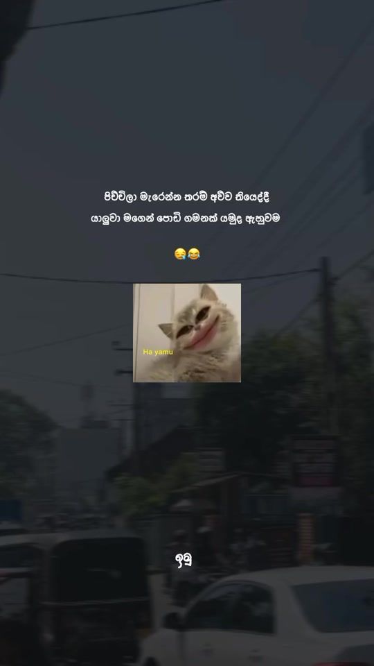 TikTok video thumbnail by imuu_quotes