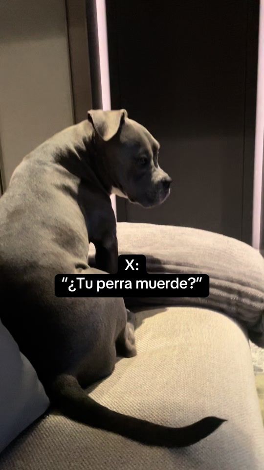 TikTok video thumbnail by cubatheb1tch