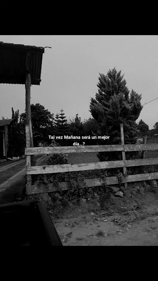 TikTok video thumbnail by leonelajcalon