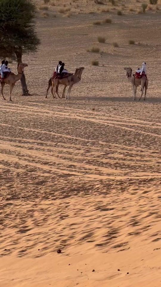TikTok video thumbnail by salaha929