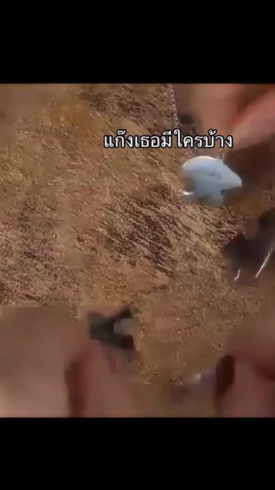 TikTok video thumbnail by bezybenyi