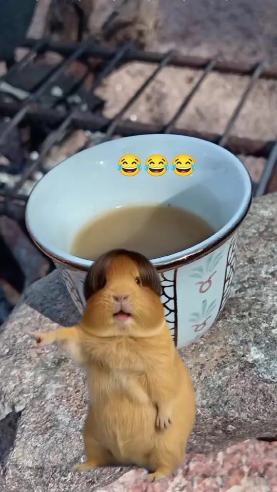 TikTok video thumbnail by 0777kaaa