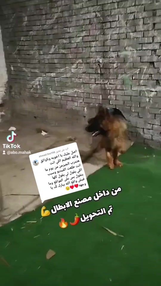 TikTok video thumbnail by abo.mahak