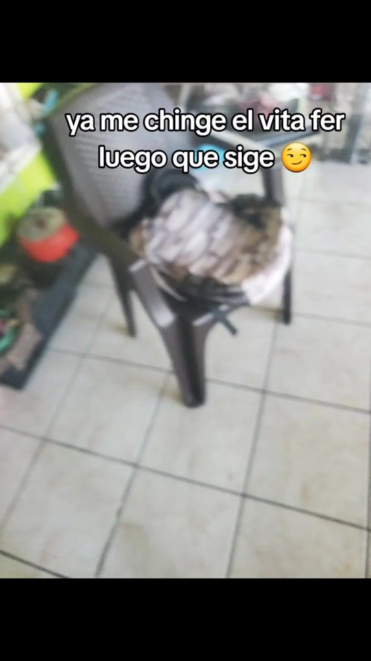 TikTok video thumbnail by alejandro_zx.875