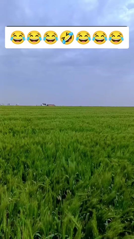 TikTok video thumbnail by innocent_mehar_