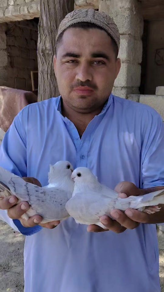 TikTok video thumbnail by waqaskata