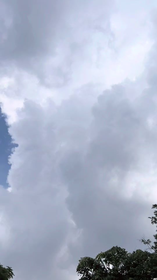 TikTok video thumbnail by alrx_7853