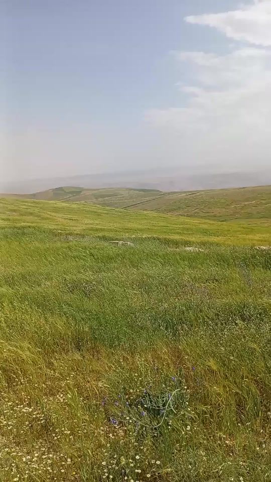 TikTok video thumbnail by user36503330849538