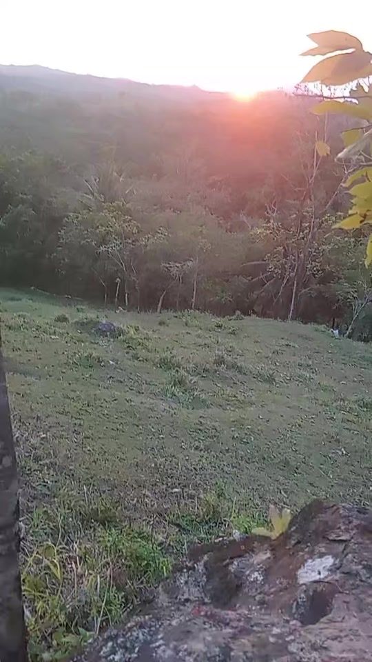 TikTok video thumbnail by .jasmin323