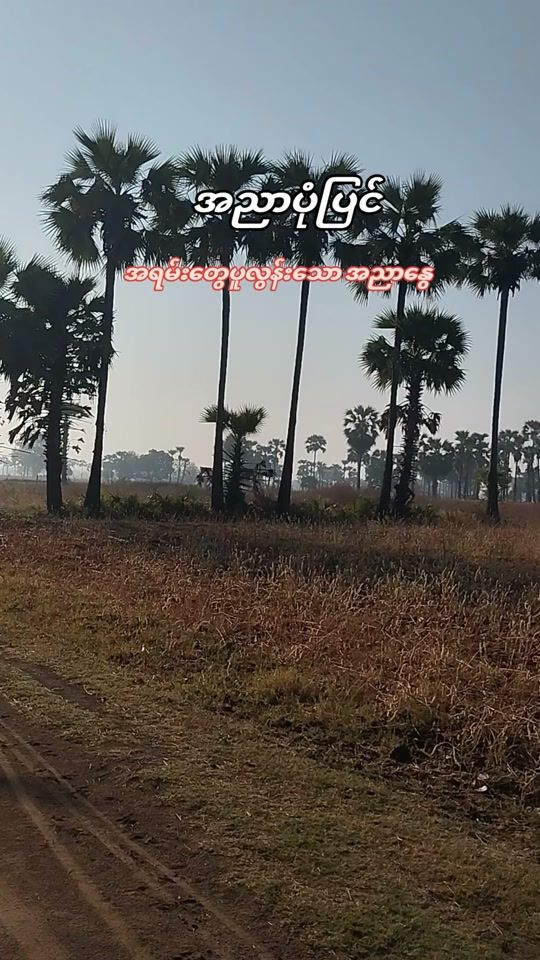 TikTok video thumbnail by singlelay804