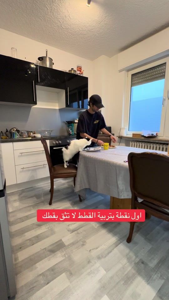 TikTok video thumbnail by ronas.ak