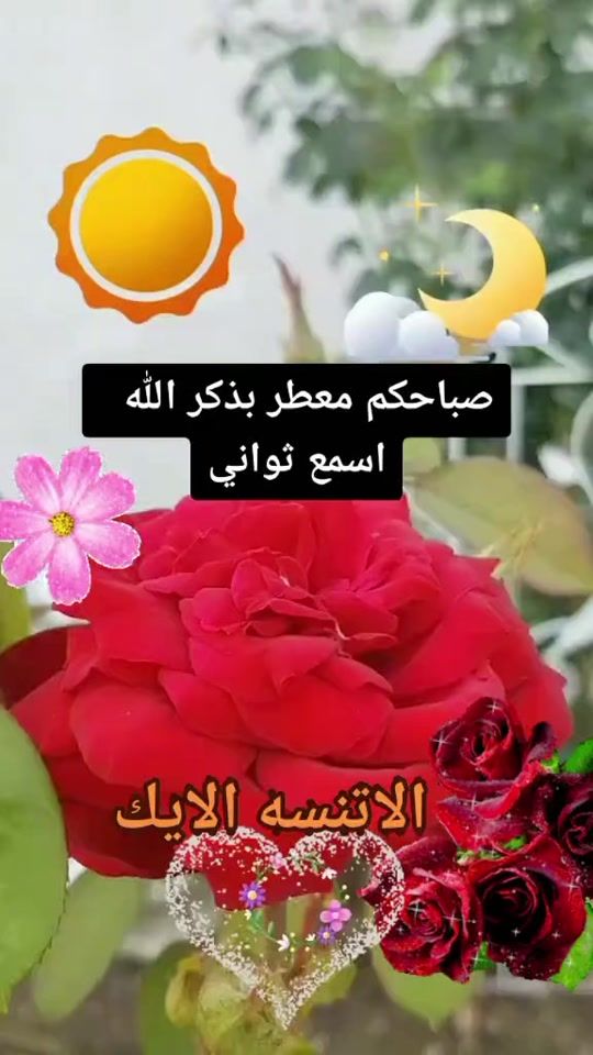TikTok video thumbnail by nomd427