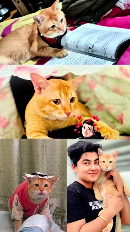 TikTok video thumbnail by .sisir_