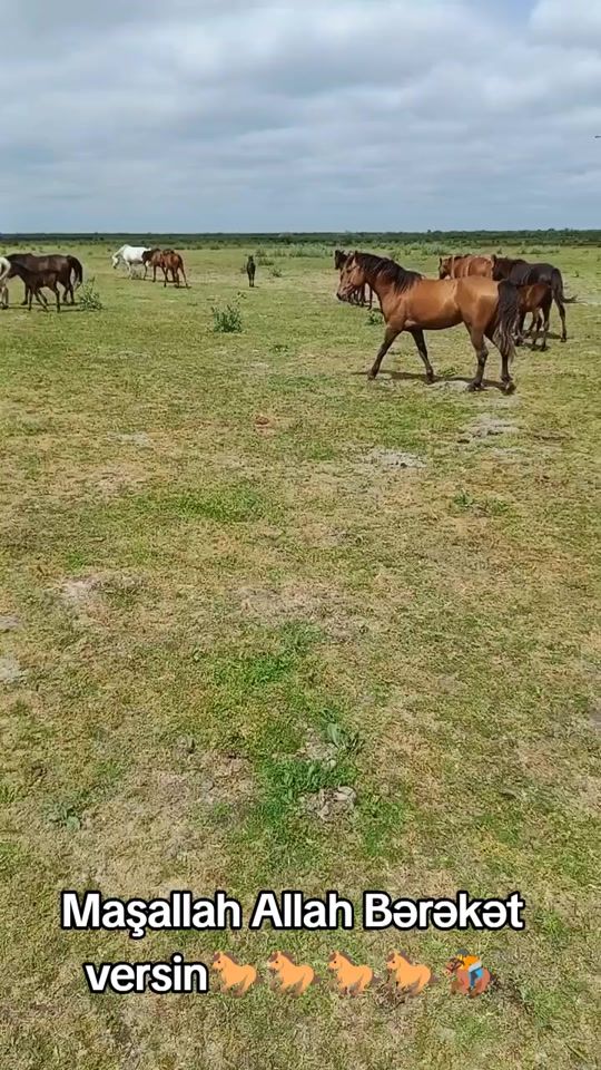 TikTok video thumbnail by tebieti_seven