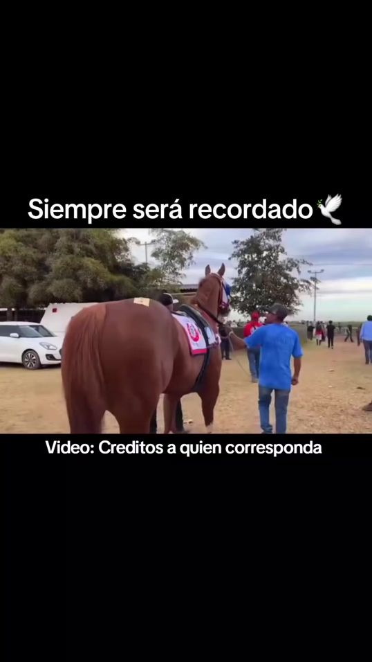 TikTok video thumbnail by jesus_gonzalez68