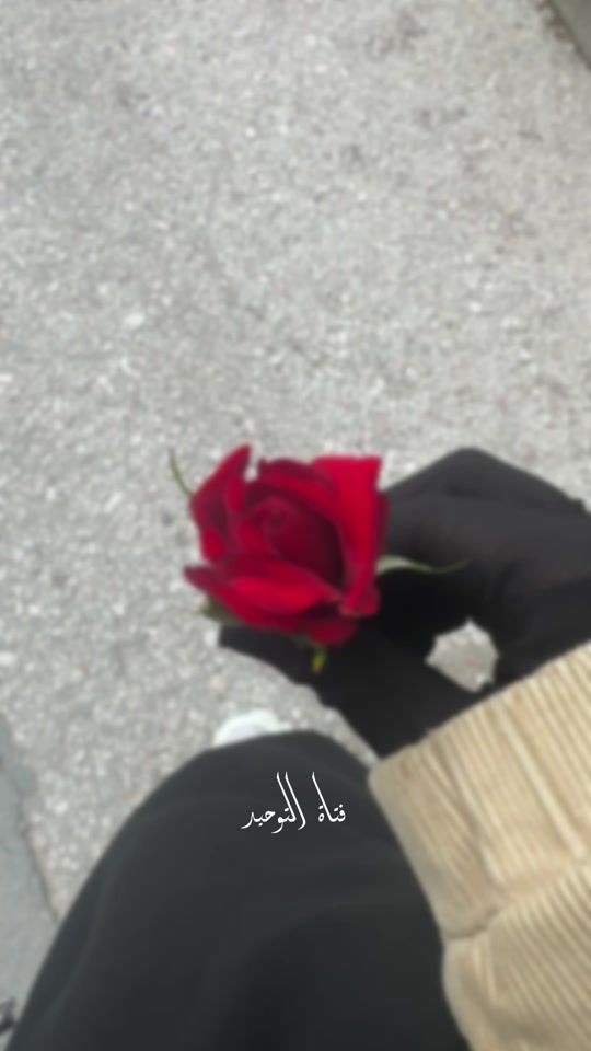 TikTok video thumbnail by zainab_do13