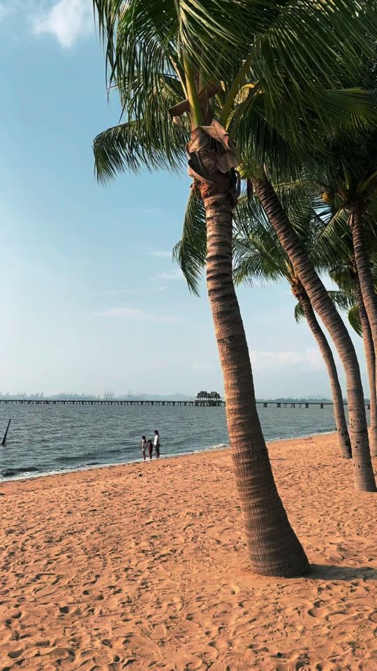 TikTok video thumbnail by apisara_f