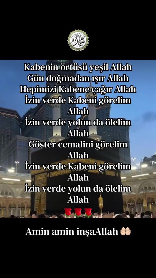 TikTok video thumbnail by rosegul_gul