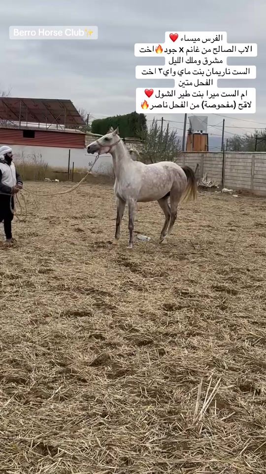 TikTok video thumbnail by mohammadberro21