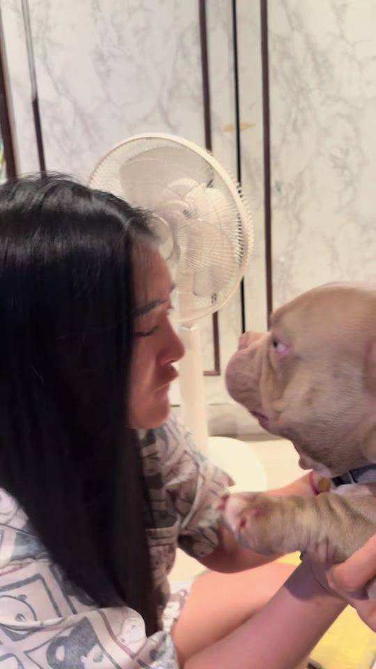 TikTok video thumbnail by matin_chanel