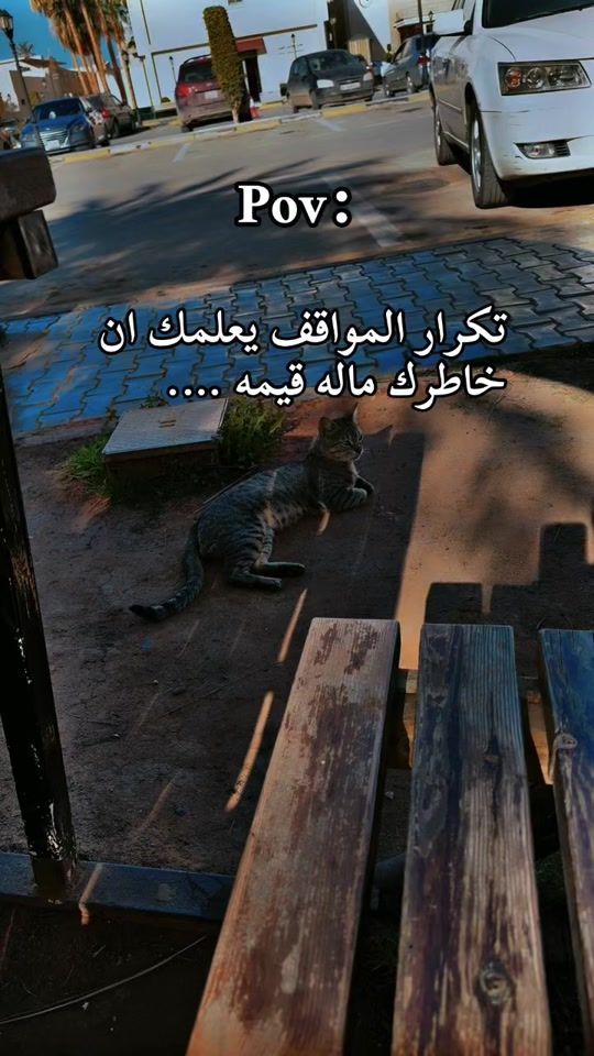 TikTok video thumbnail by meme2000.m