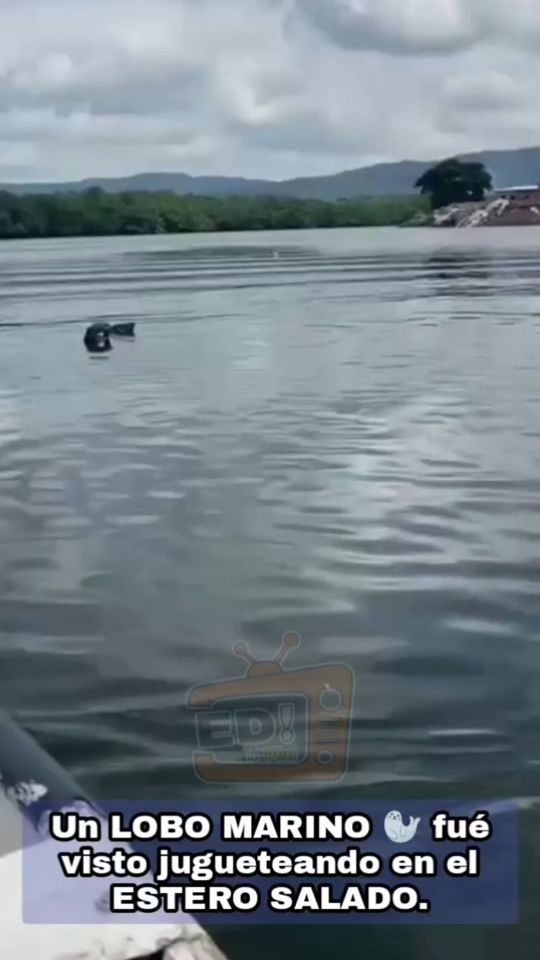 TikTok video thumbnail by edtvplus