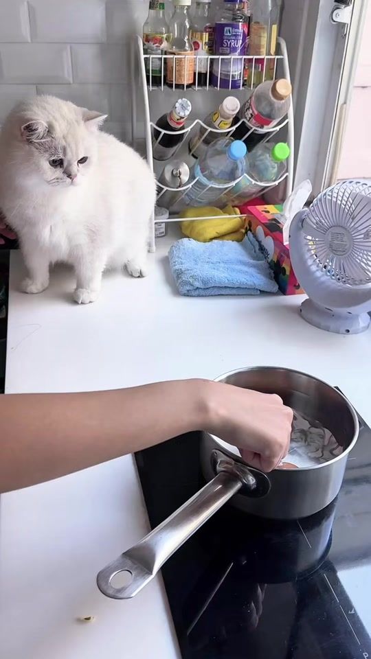 TikTok video thumbnail by imyour.vodka