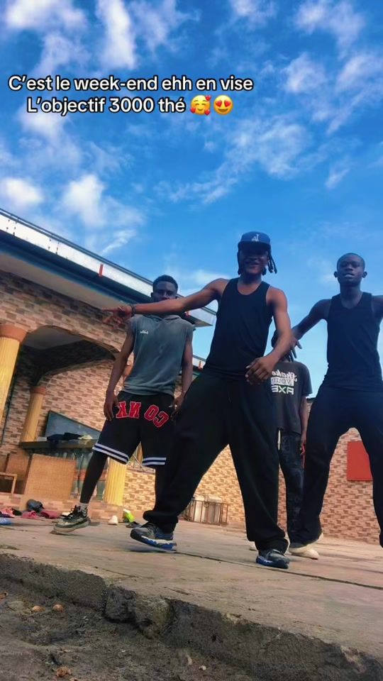 TikTok video thumbnail by lanimateur_de_la_danse