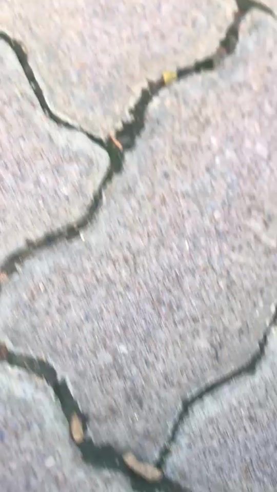 TikTok video thumbnail by grootmanlloyd