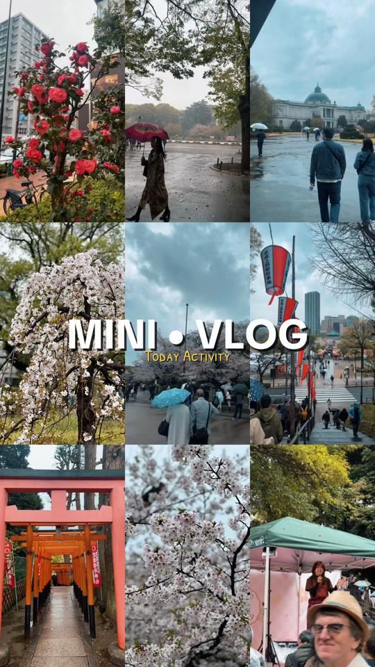 TikTok video thumbnail by sara.sariko