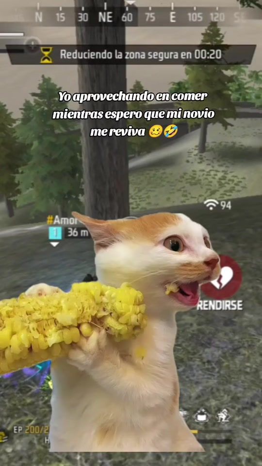 TikTok video thumbnail by sawako_.ff