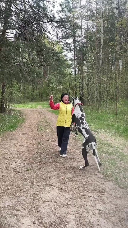 TikTok video thumbnail by natka22020