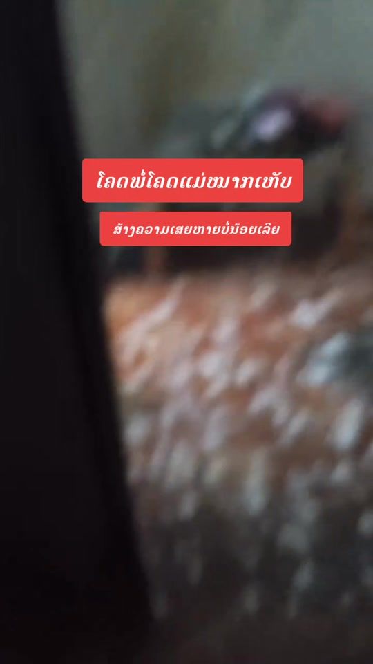 TikTok video thumbnail by mr.bounspv
