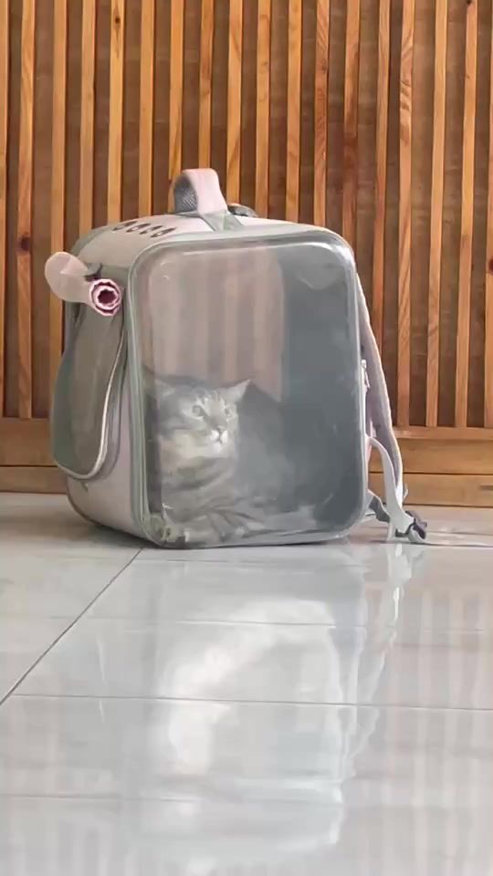 TikTok video thumbnail by alicekeyyy