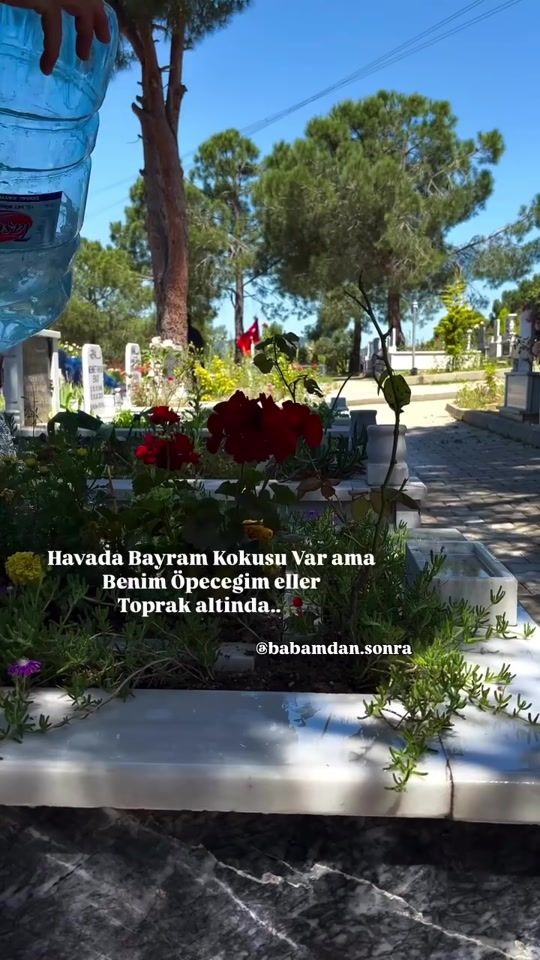 TikTok video thumbnail by babamdann.sonra